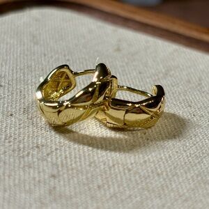 Elegant Golden Hoop Earrings